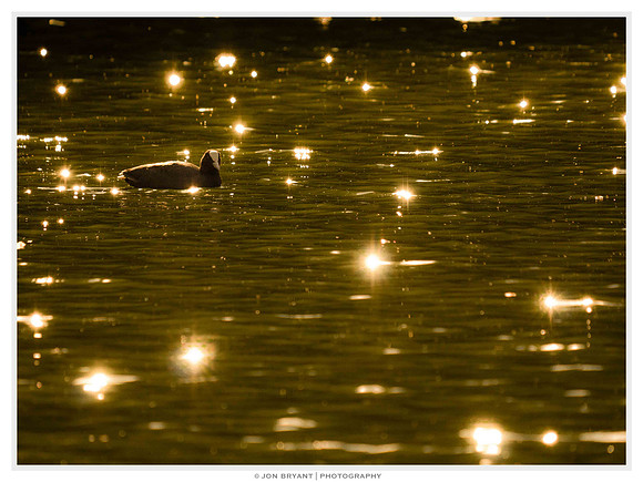 Early morning light reflecting off the lake.